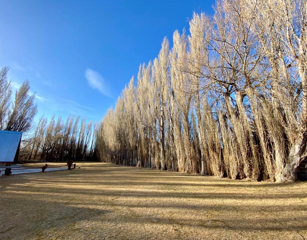 Hostería&Cabañas Río Fénix Perito Moreno Extérieur photo